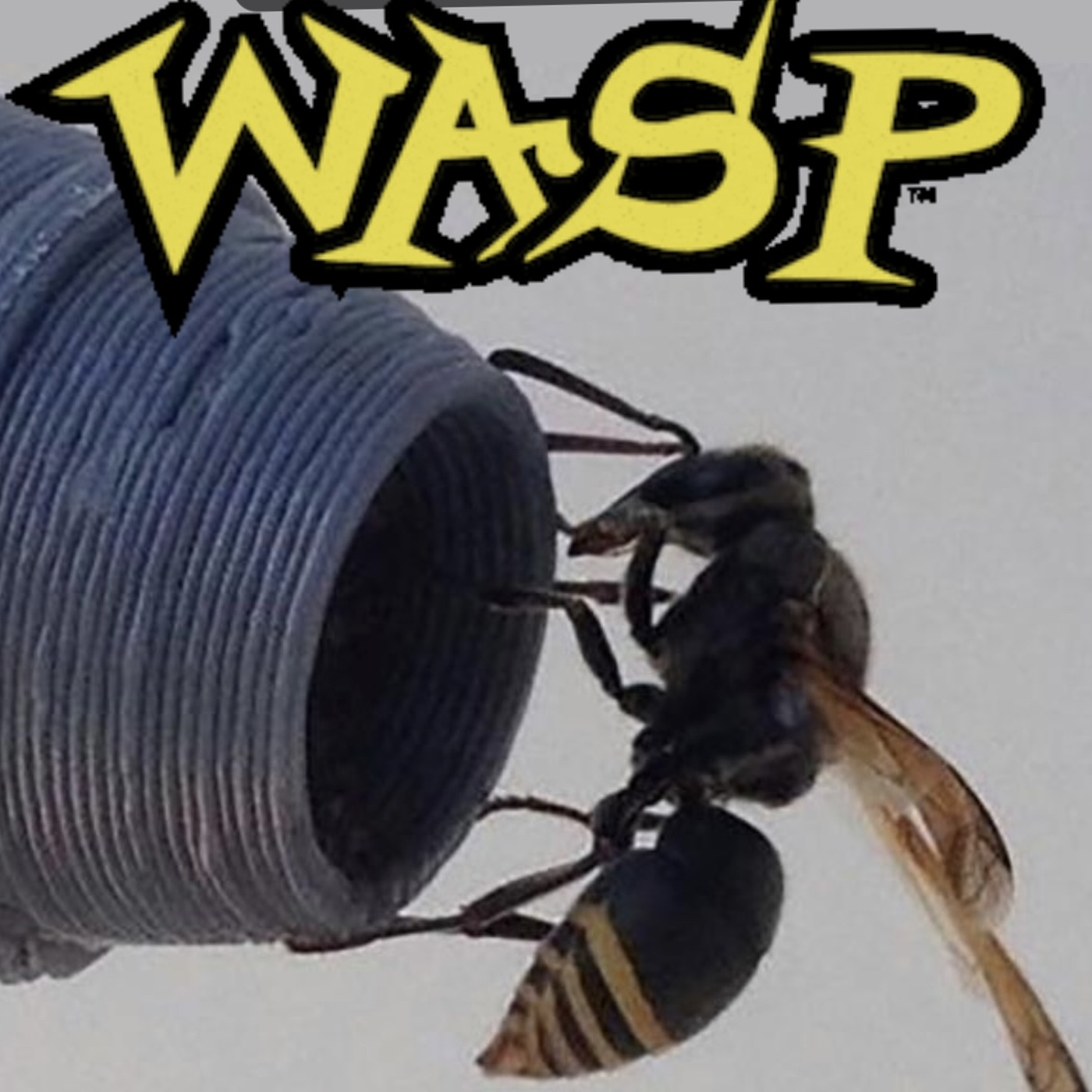 27. Wasp - Birgenair 301 hero artwork