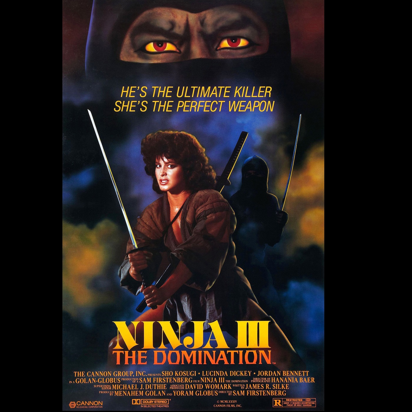 76 Ninja III The Domination hero artwork